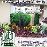 Silverson Tree Services & Landscaping image 1